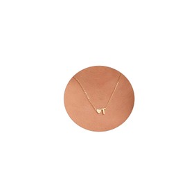 LEXODY Initial Necklaces for Women Dainty Gold Heart Letter Necklace 14k Gold Plated Necklaces Simple Gold Heart Pendant Necklaces Waterproof Cute Trendy Jewelry Gifts for Girls