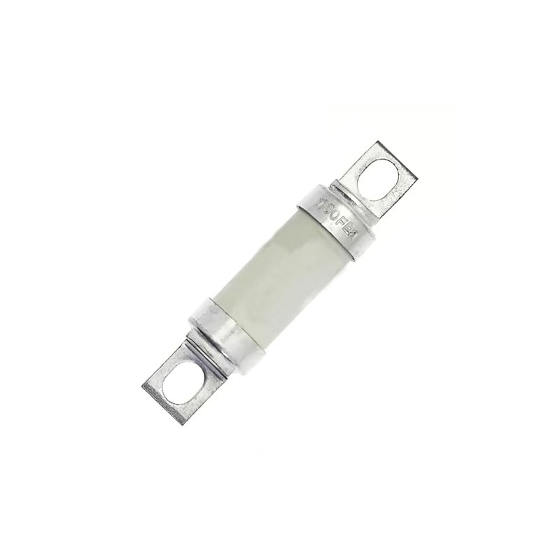 1 fusible tipo T 100FE (100 FEa) 100 A, 100