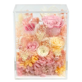 Valley of Rain & Forest Long-Lasting Real Flowers, Handcrafted Preserved Rose Bush For you to Send Love for All Occasions, Floral Arrangement for Indoor Decoration (Pink Rose)