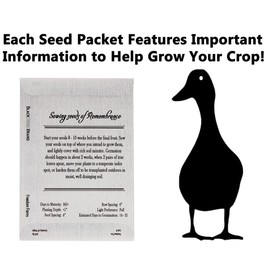 Set of 25 Forget-Me-Not Seeds - Individually Sealed - Specialty Designed Seed Packets - Non-GMO & Heirloom Seeds - Celebrate The Life of Your Loved One (25)