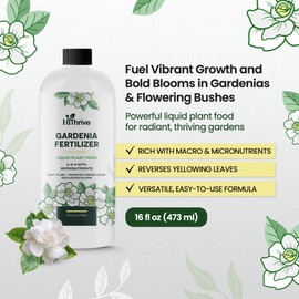 16oz Gardenia Fertilizer - Makes 96 Gallons of Indoor Plant Food for Gardenia Plants Live, Nutrient-Rich Outdoor & Indoor Plant Fertilizer, Flower Food for Vibrant Growth and Beautiful Blooms