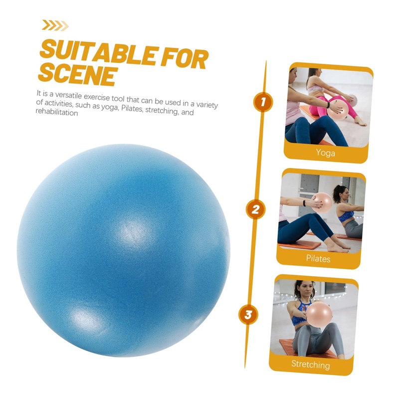 Gatuida Gym Accessory Exercise Ball Pump 9 Inch Small Ball