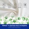 STNOMY Premium 100% Eucalyptus Tencel Lyocell Cooling Pillowcase Set of