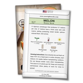 Sow Right Seeds - Honey Rock Melon Seed for Planting  - Non-GMO Heirloom Packet with Instructions to Plant a Home Vegetable Garden