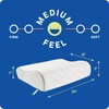 SEALY Dreamlife Contour Memory Foam Pillow, Standard
