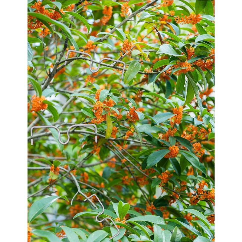Gansita Fruit Tree Branch Puller Tying Machine Farm Tools Tree