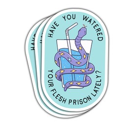 3 Pcs Have You Watered Your Flesh Prison Lately Sticker, Drink Water Sticker, Mental Health Stickers for Adults - Funnyvinyl Sticker 3 Inches for Water Bottles Laptop Phone Car Window Helmet