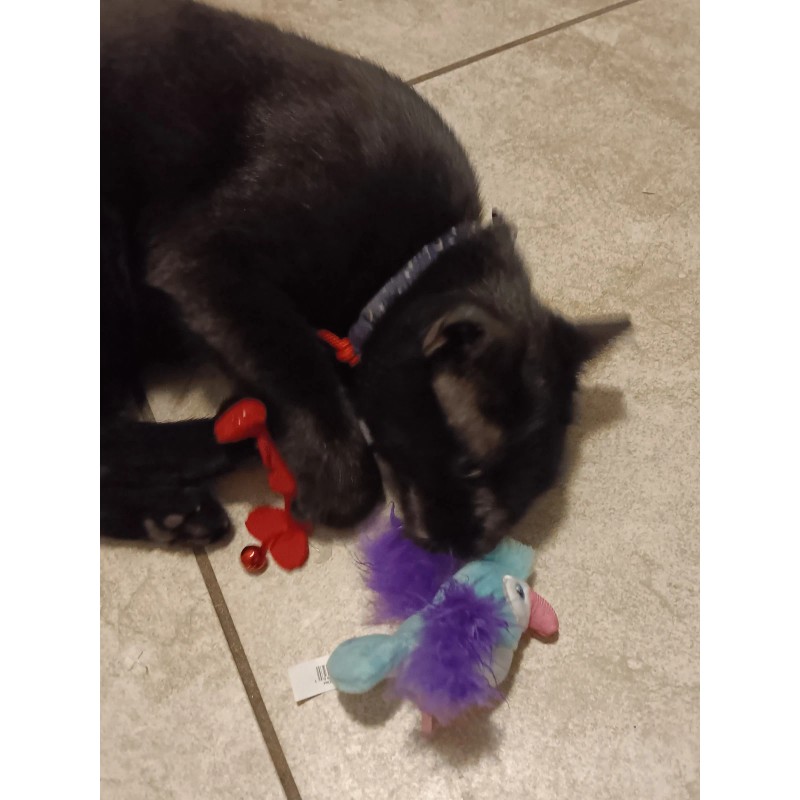 Vibrant Life Cat toys for indoor cats 3 Pack.