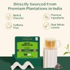 VAHDAM, Decaf Himalayan Green Tea Bags (100 Pyramid Tea Bags)