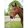 Halter Rope, red