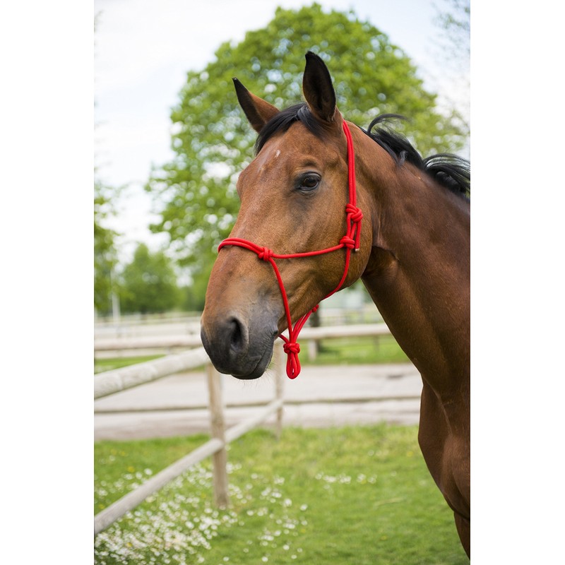 Halter Rope, red