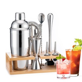 BRIOUT Cocktail Shaker Set, 8-Piece Bartender Kit Include Stand Martini Shaker Jigger Strainer Muddler Mixer Spoon Pour Spouts, Home Bar Accessories Tools for Drinks Mixing, Stainless Steel Silver