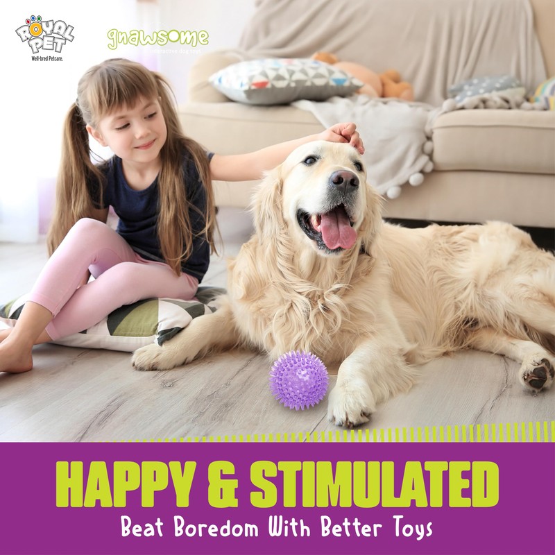 Gnawsome Medium Squeaker Ball Dog Toy, Medium 3.5", Colors will