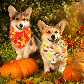 Sweetude 50 Pcs Fall Dog Bandanas Bulk Pumpkin Maple Leaves Plaid Thanksgiving Bandanas for Dogs Autumn Soft Bibs Triangle Scarves for Small Medium Large Pets Costume (25.6 x 17.7 x 17.7 Inch)