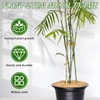 Monstera Plant Support, Set of 6 Iron Plant Stem Supports