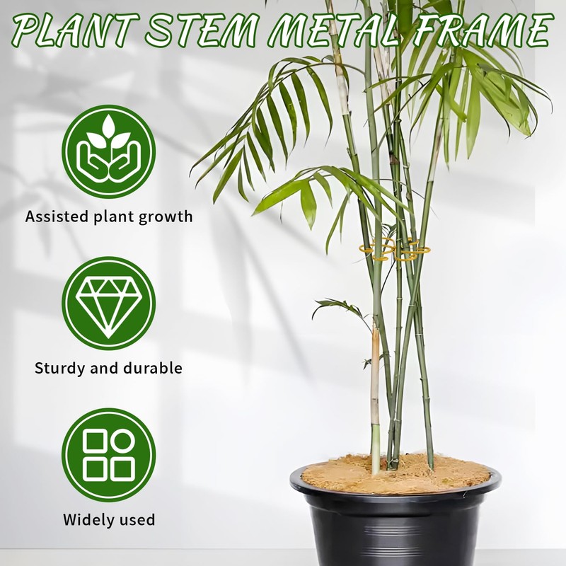 Monstera Plant Support, Set of 6 Iron Plant Stem Supports