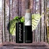 Sun-kissed lip care matte moist plump lip balm pure wave 1 piece 4g / 선-키스드 립케어 매트 촉촉함 플럼프 립밤 퓨어 웨이브 1개 4g