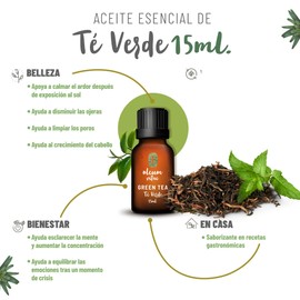 OLEUM VITAE Aceite Esencial de Té Verde Camellia Sinensis 100% Puro y Orgánico 15 ml Hecho en India Certificado UK Aplicación Interno Externo y Aromático