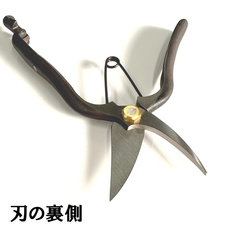 Tobizuka Seisakusho Single Blade Bud Cutting Shears, 7.9 inches (200