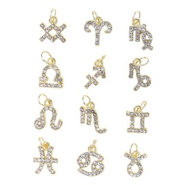 Healeved 12pcs Zodiac Nail Charms Rhinestone Nail Art Decorations for Manicure Unique and Elegant Ornaments for Personal