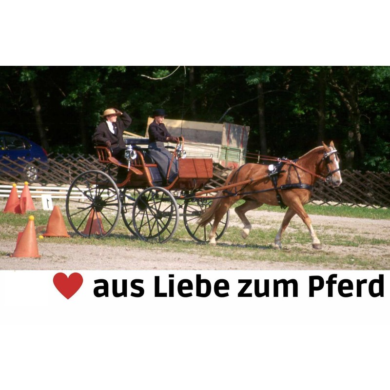 Amesbichler Reitsport Liverpool Driving Bit Moving Suits 2 Slots 15