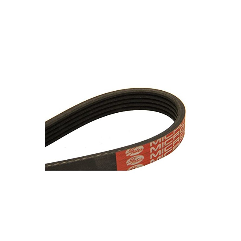 Dayco 5PK730 Poly Rib Belt