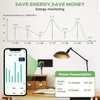GreenSun WLAN Socket Power Meter Timer Switch WiFi Alex Socket