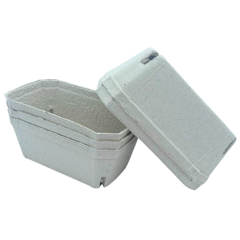 Bramley & Sage 500g Biodegradable Fibre Fruit Punnets (Various Quantities)
