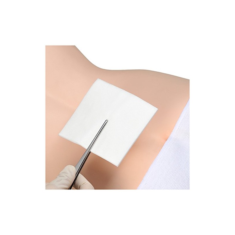 Alcare Delmaide 2.0 x 2.0 inches (50 x 50 mm)