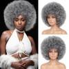 Afro Wigs for Black Women Gray Bouncy Fluffy Curly Big