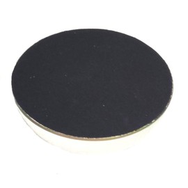 Nature Under Glass Paperweights (Crowned Dragonfly)