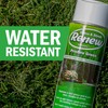 Seymour RENEW Grass and Shrub (Pristine). 17 oz. Can. (Pack