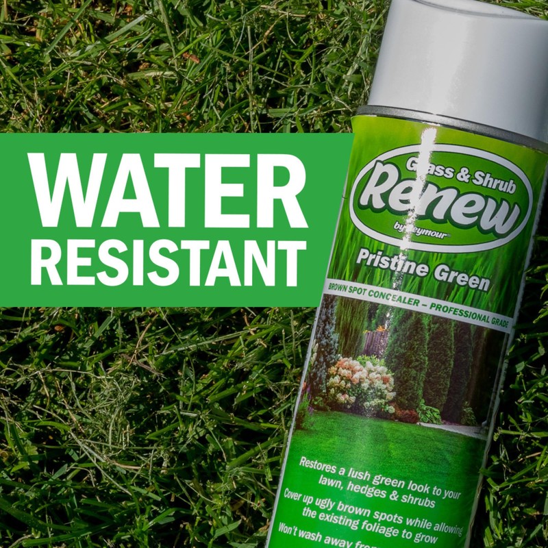 Seymour RENEW Grass and Shrub (Pristine). 17 oz. Can. (Pack