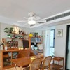 Laliled Ceiling Fan with Light – Socket Fan Light with