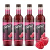 DaVinci Gourmet Classic Raspberry Syrup, 25.4 Fluid Ounces (Pack of