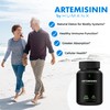 HUMANX Artemisinin 505mg with Bioperine for Greater Absorption - Supports