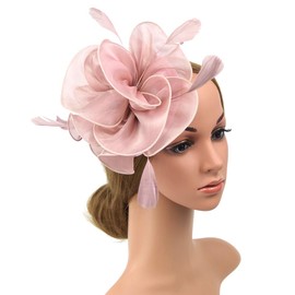 DRESHOW Women's Fascinators Hat Cocktail Party Tee Headpiece Flower Mesh Organza Ribbons Feathers on a Headband, Pink B