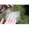 100 Pcs Bodhi Leaf Translucent Leaves Pho Bodhi Tree Veined