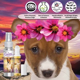 The Blissful Dog Basenji Relax Roll-ON Aromatherapy for Dogs - Anxiety Relief for Dogs