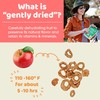 Peeled Snacks Organic Dried Fruit, Apple, 2.8 oz. – Healthy,