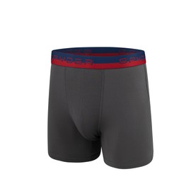 Spyder Mens Boxer Briefs 4 Pack Poly Spandex Performance Boxer Briefs Underwear (Red/Black/Navy/Grey, Small)