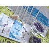 Hyaluronic Acid Essential Sheet Mask x 10 Pack Set (Sheet