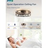 23" Black Gold Caged Low Profile Ceiling Fan with Light