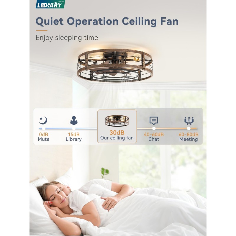 23" Black Gold Caged Low Profile Ceiling Fan with Light