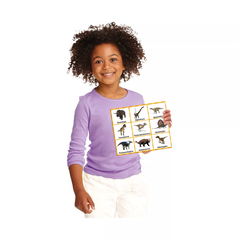 The Learning Journey New - The Learning Journey Match It!