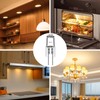 Pack of 12 G4 Halogen Bulbs 10 W 12 V,
