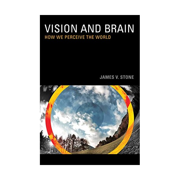 Vision and Brain: How We Perceive the World (The MIT