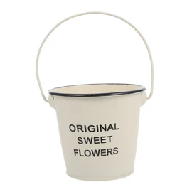 BESPORTBLE 1pc Chic Small Iron Bucket Creative Flower Container Versatile Iron Flowerpot for Display Desktop Organizer for Home Office Use Off