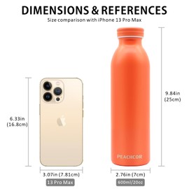 20oz Stainless Steel Water Bottle - Double Walled Vacuum Insulated - Keeps Hot for 12 & Cold for 24 Hours - BPA-Free - Leak Proof Reusable - Thermo Flask for Sports, Outdoor (Orange（2.64 * 10.23）)