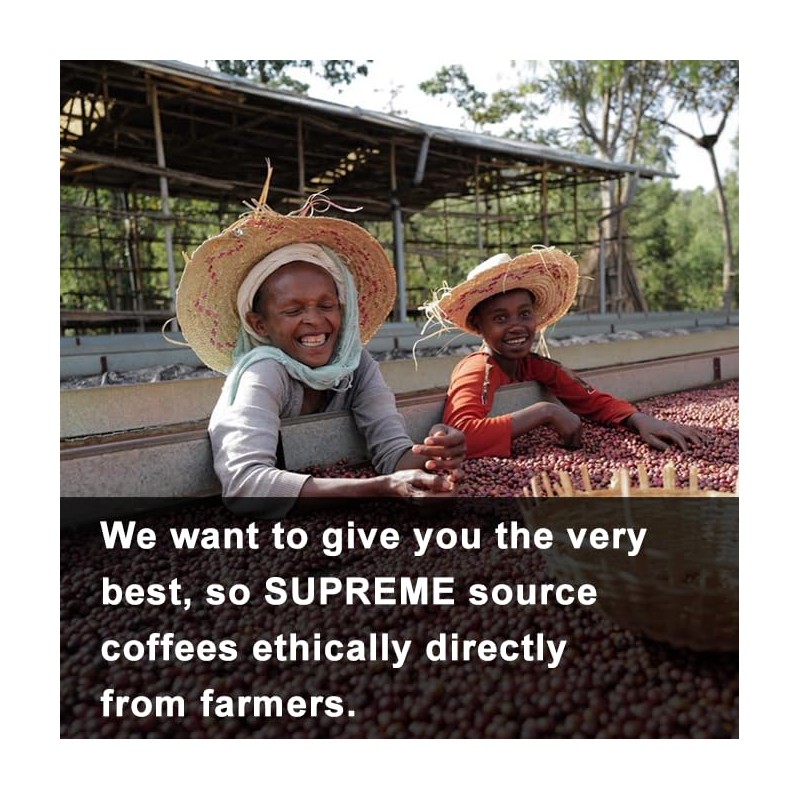 SUPREME DECAF COFFEE | Whole Bean | Medium Roast Coffee